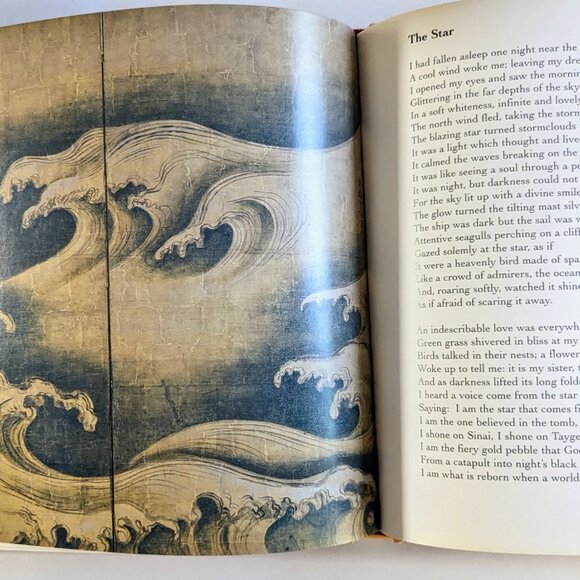 Visionary Poetry Book ART & WONDER illustrated occult surreal angel zodiac poems - Picture 8 of 15